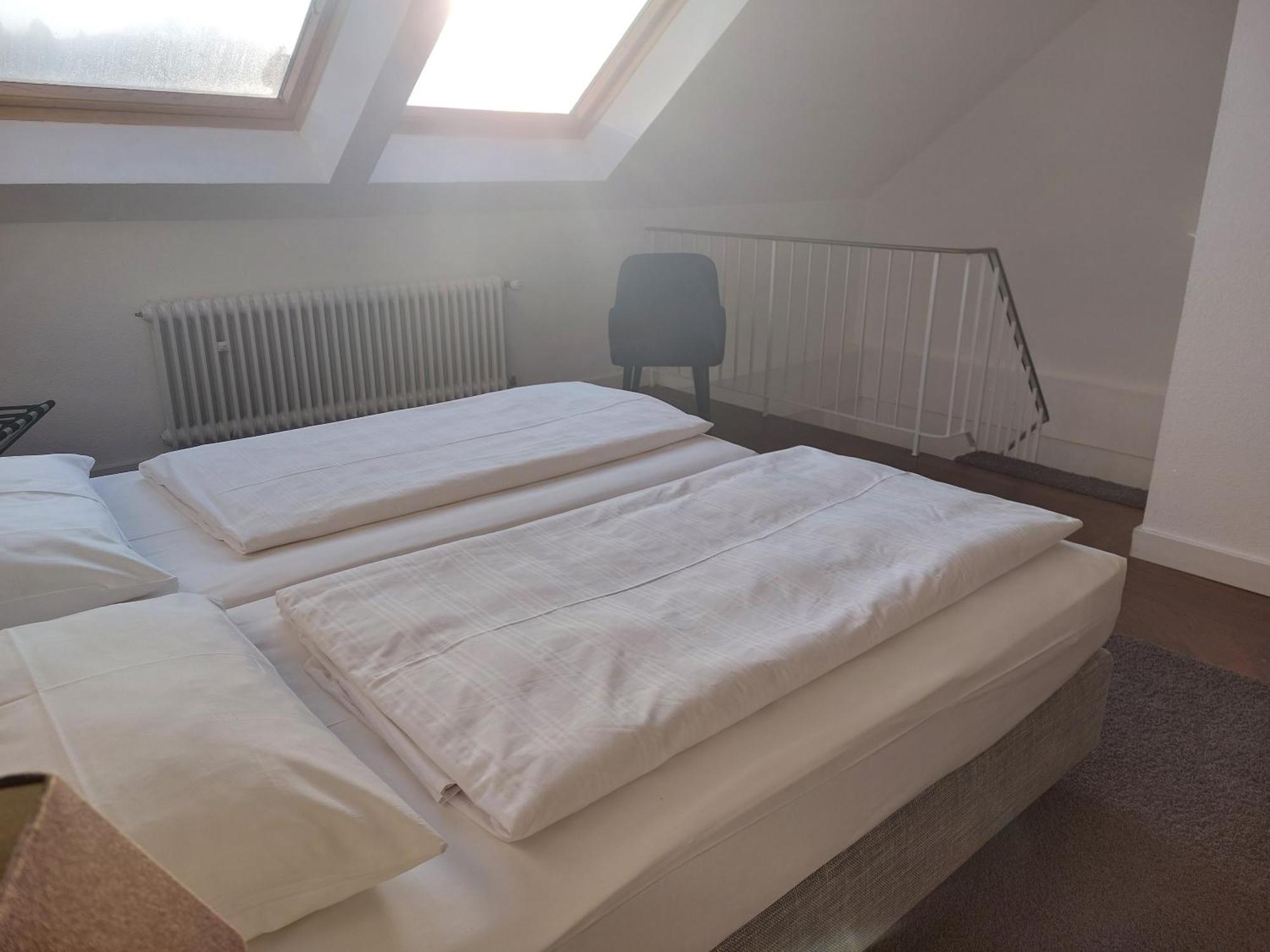 מולהיים אן דר רור Hotel Friederike מראה חיצוני תמונה